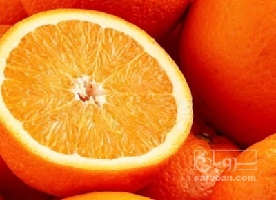 فروش پرتقال