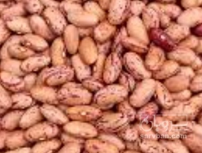 فروش لوبیا چیتی