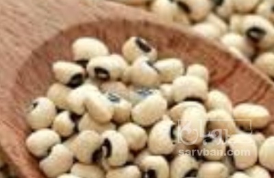 فروش لوبیا چشم بلبلی