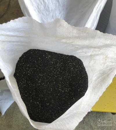 فروش بذر پیازقرمز