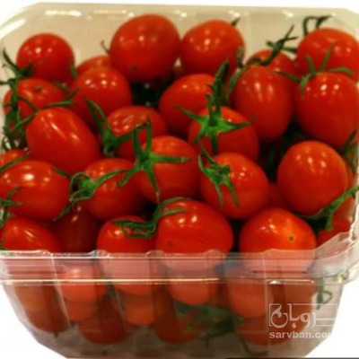 فروش گوجه فرنگی گیلاسی