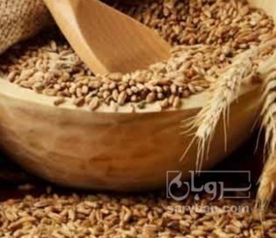 فروش گندم