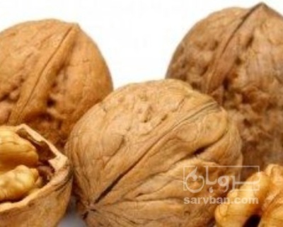 فروش گردو