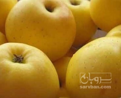 فروش سیب زرد
