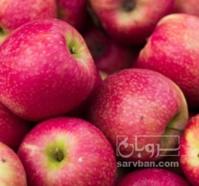فروش سیب قرمز