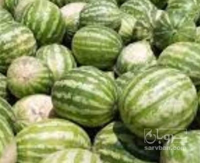 فروش هندوانه گرد