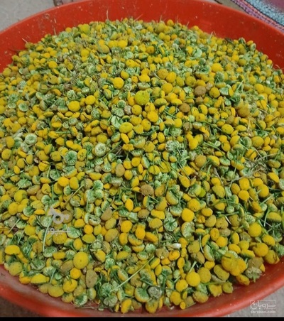 فروش بابونه (گیاه‌ دارویی)
