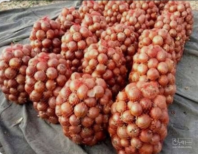 فروش پیاز ارغوانی