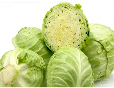 فروش کلم پیچ