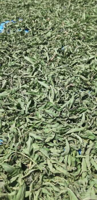 فروش به لیمو