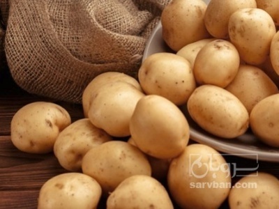 فروش سیب زمینی