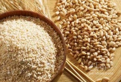 فروش گندم