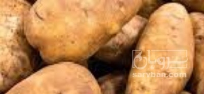 فروش سیب زمینی