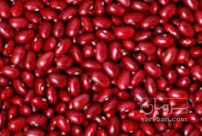 فروش لوبیا قرمز