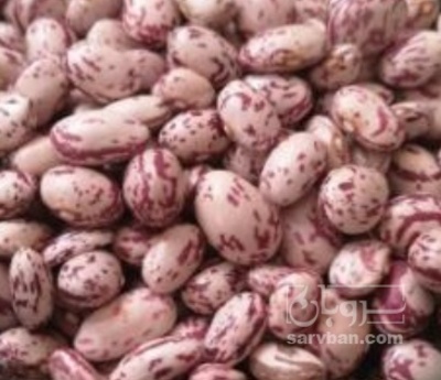 فروش لوبیا چیتی