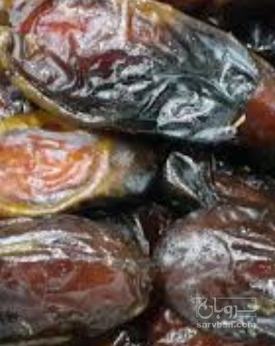 فروش خرما رقم نگار