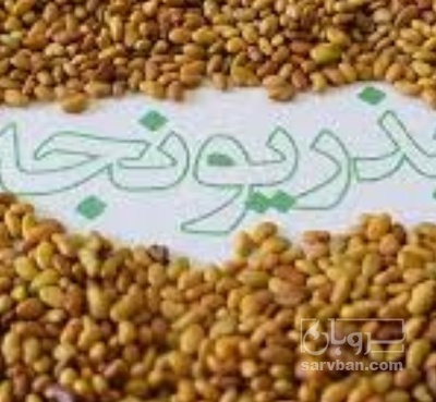 فروش بذر یونجه بمی