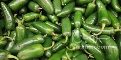 فروش فلفل هالوپینو