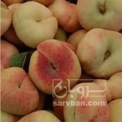 فروش هلوانجیری