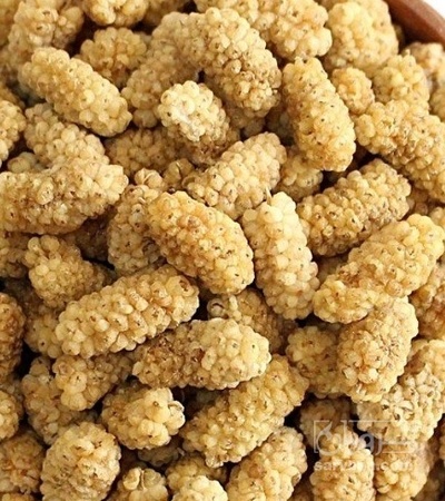 فروش توت خشک