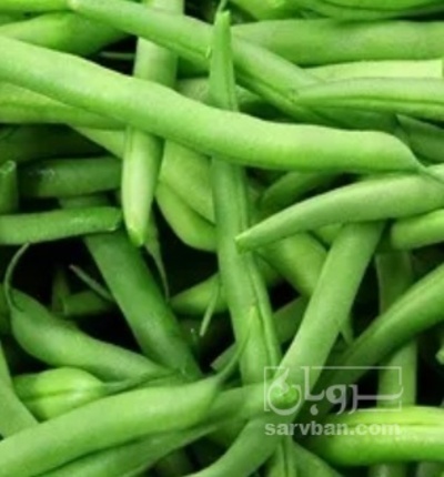 فروش لوبیا سبز