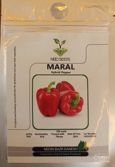 فروش عمده بذر فلفل دلمه ای هیبرید گلخانه ای مارال