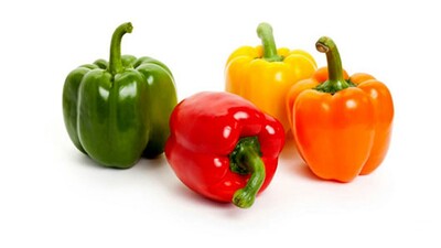 فروش عمده فلفل دلمه ای رنگی لوکس