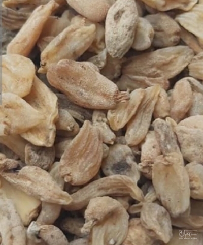 فروش ثعلب (گیاه‌ دارویی)