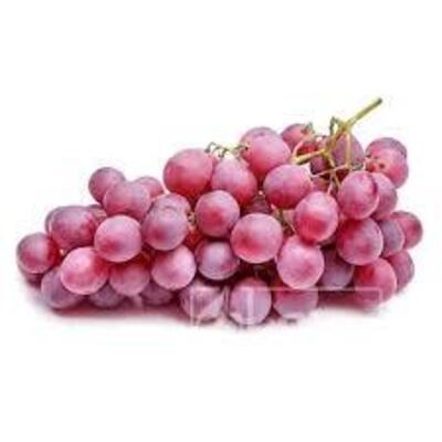 فروش انگوربی دانه قرمز