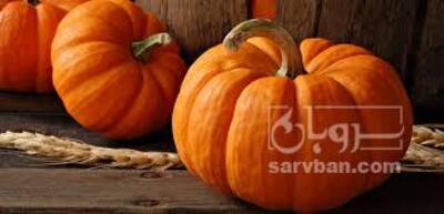 فروش کدوحلوایی