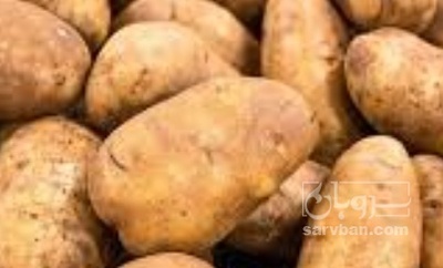 فروش سیب زمینی