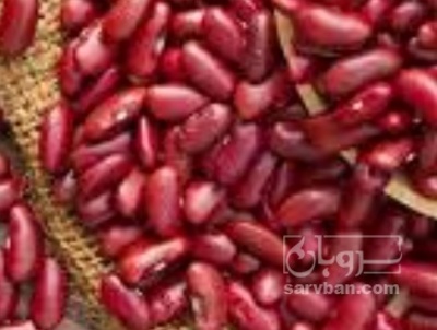 فروش لوبیا قرمز