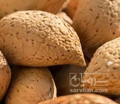 فروش بادام