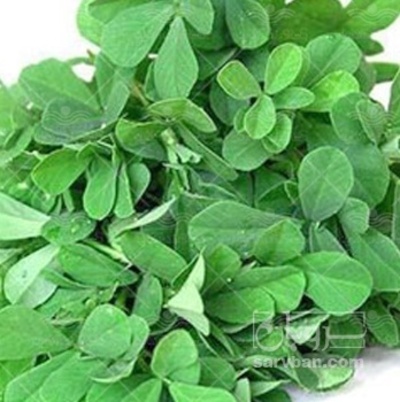 فروش یونجه