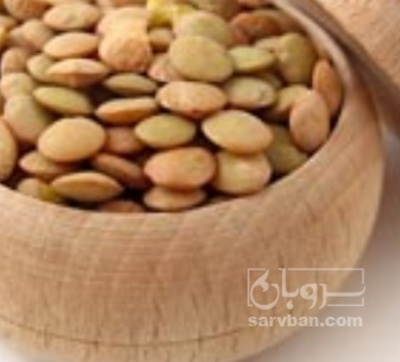 فروش عدس