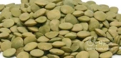 فروش عدس