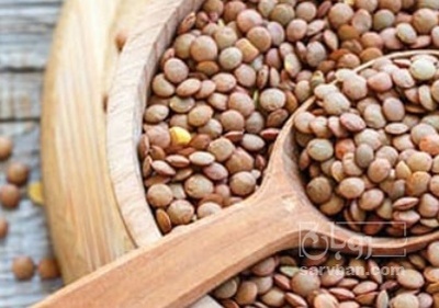 فروش عدس