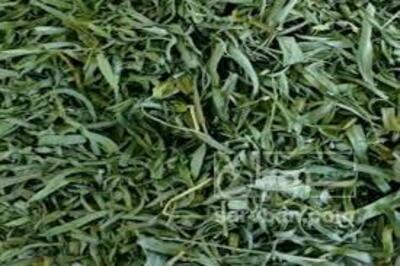 فروش ترخون (گیاه‌ دارویی)