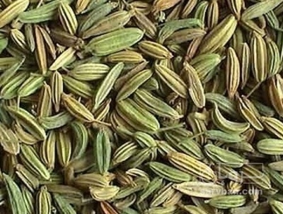 فروش زیره (گیاه‌ دارویی)