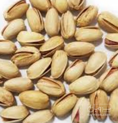 فروش پسته فندقی