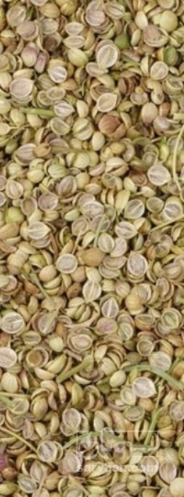 فروش تخم گشنیز لپه آیی گیاه‌ دارویی)