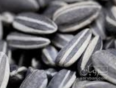 فروش تخمه آفتابگردان بود داده
