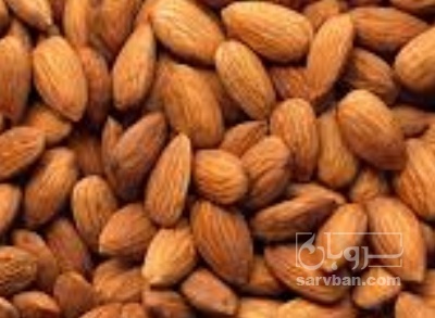 فروش بادام