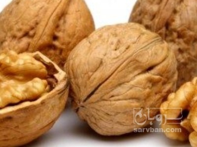 فروش گردو