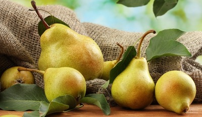 فروش گلابی