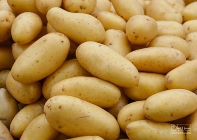 فروش سیب زمینی