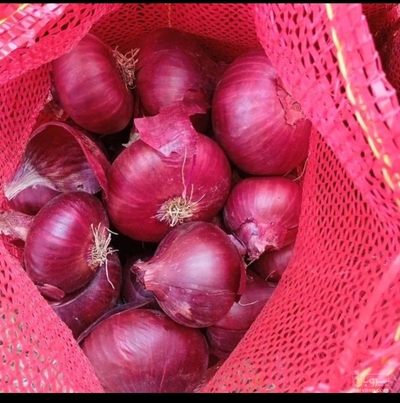 فروش پیاقرمز