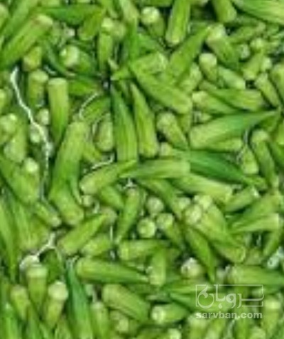 فروش بامیه