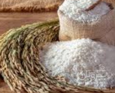 فروش برنج