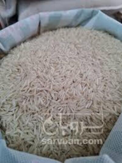 فروش برنج